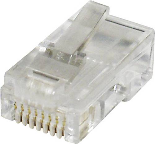 Econ Connect MPL88 Modular-Stecker MPL88 Stecker, gerade Polzahl 8P8C Klar