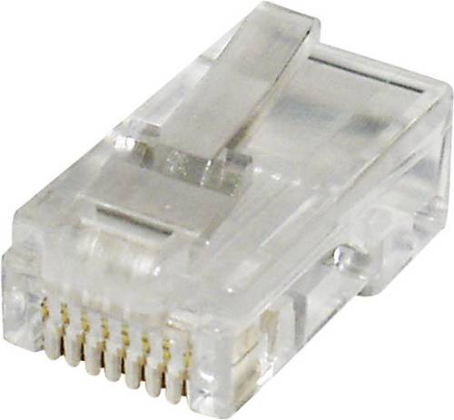 Econ Connect MPL88R Modular-Stecker MPL88R Stecker, gerade Polzahl 8P8C Klar