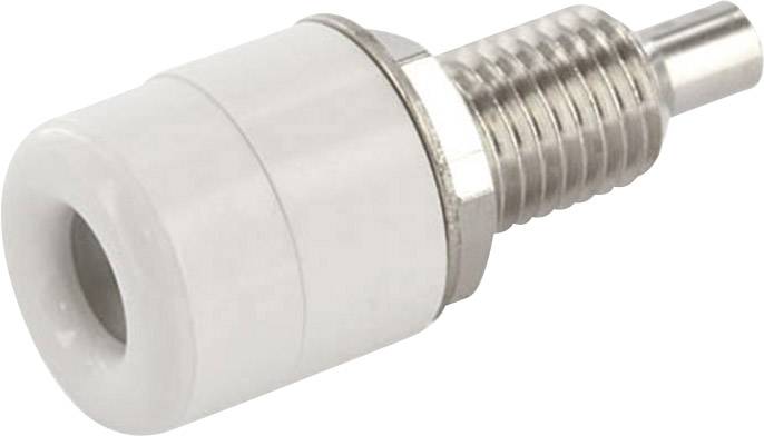 Econ Connect TB4WS Laborbuchse Buchse, Einbau vertikal Stift-Ø: 4 mm Weiß