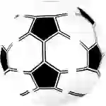 Vedes SF Strandball Fußball, Ø ca. 30cm 77802355 Vedes SF Strandball Fußball, Ø ca. 30cm 77802355