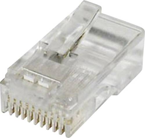 Econ Connect Modular-Stecker Stecker, gerade Pole: 10 MPL10/10 Klar MPL10/10