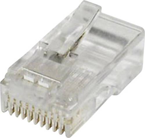 Econ Connect Modular-Stecker Stecker, gerade Pole: 10 MPL10/10R Klar MPL10/10R
