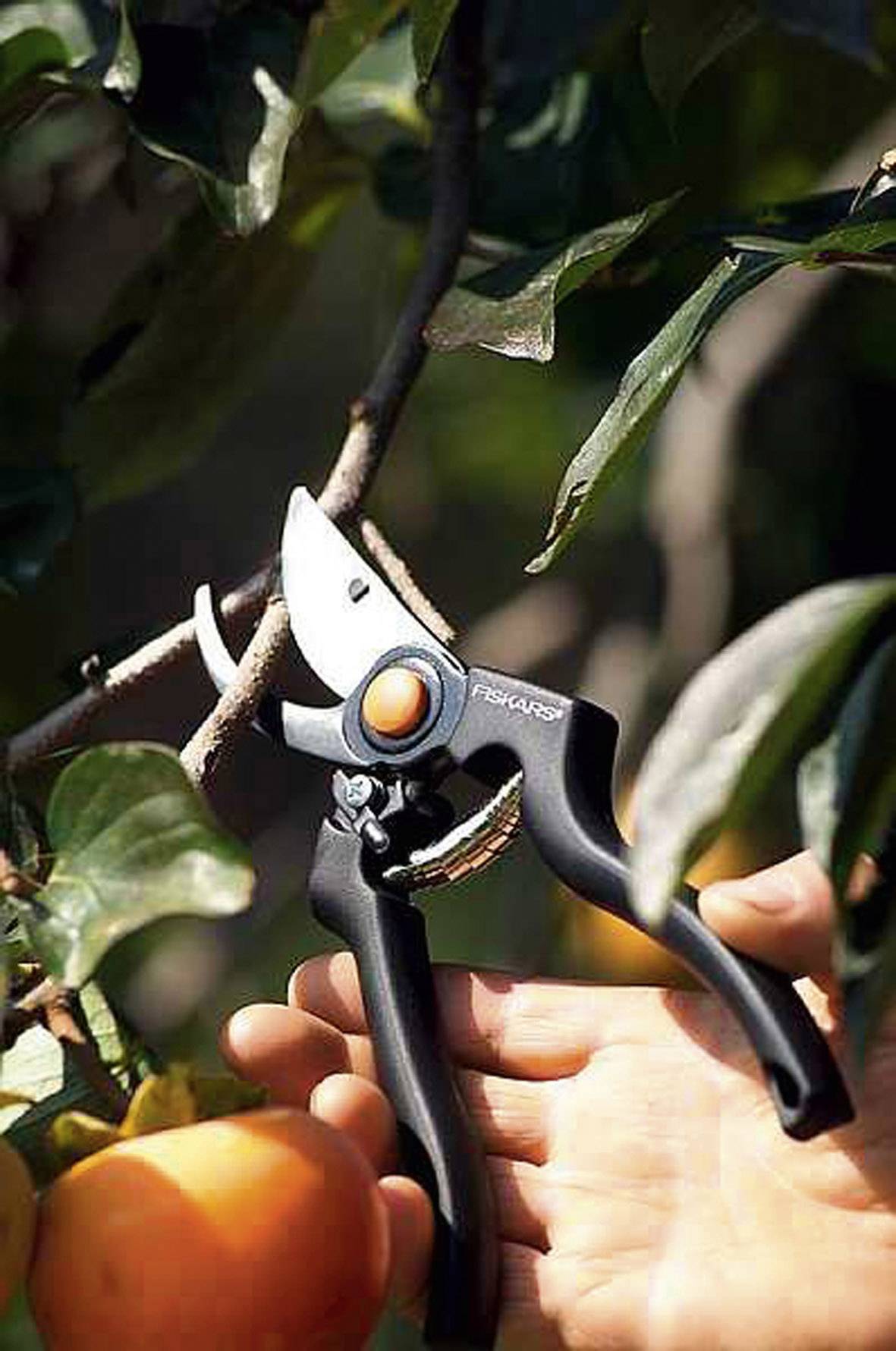Fiskars 1001530 Pro Gartenschere 230 mm Bypass