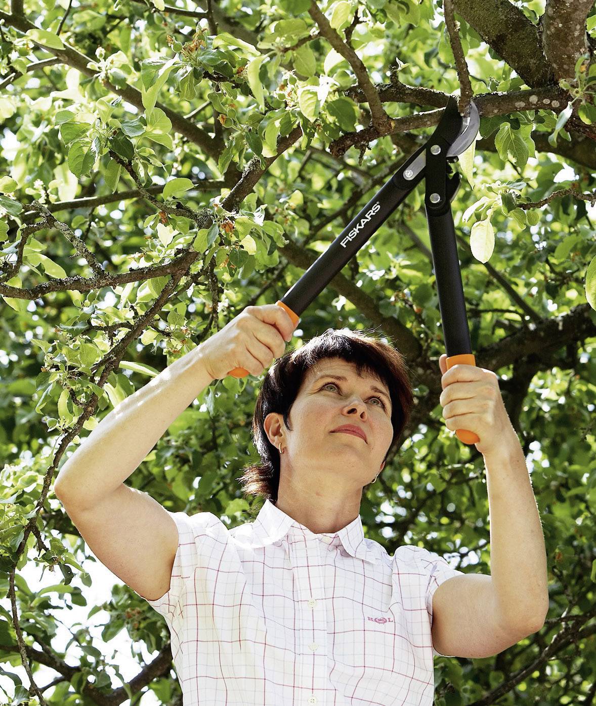 Fiskars 1001555 PowerGear II 46cm L72 Astschere Bypass