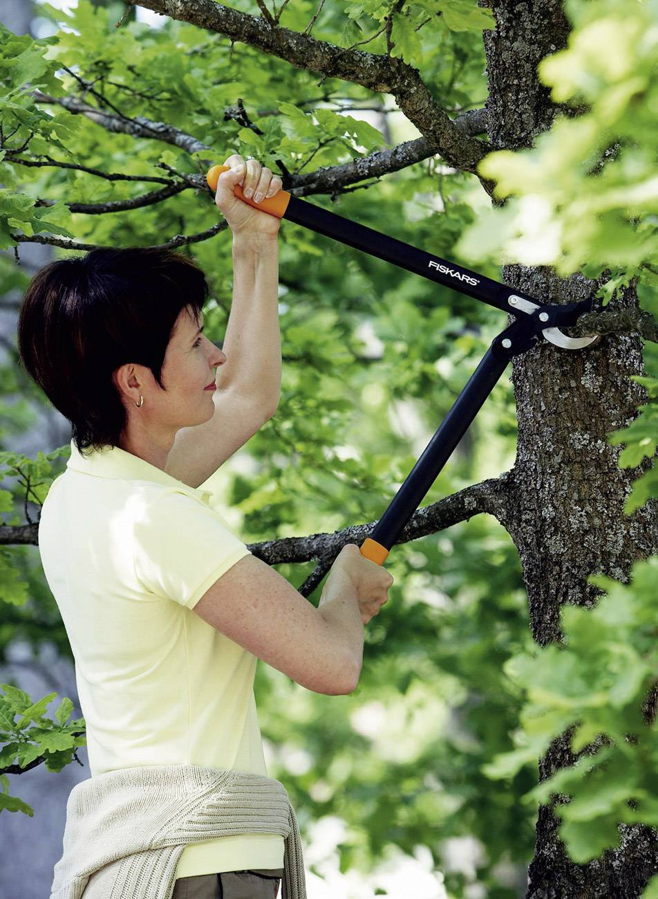 Fiskars Astschere Bypass
