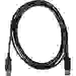 Club3D DisplayPort Anschlusskabel DisplayPort Stecker, DisplayPort Stecker 3.00m Schwarz CAC-1064 DisplayPort-Kabel