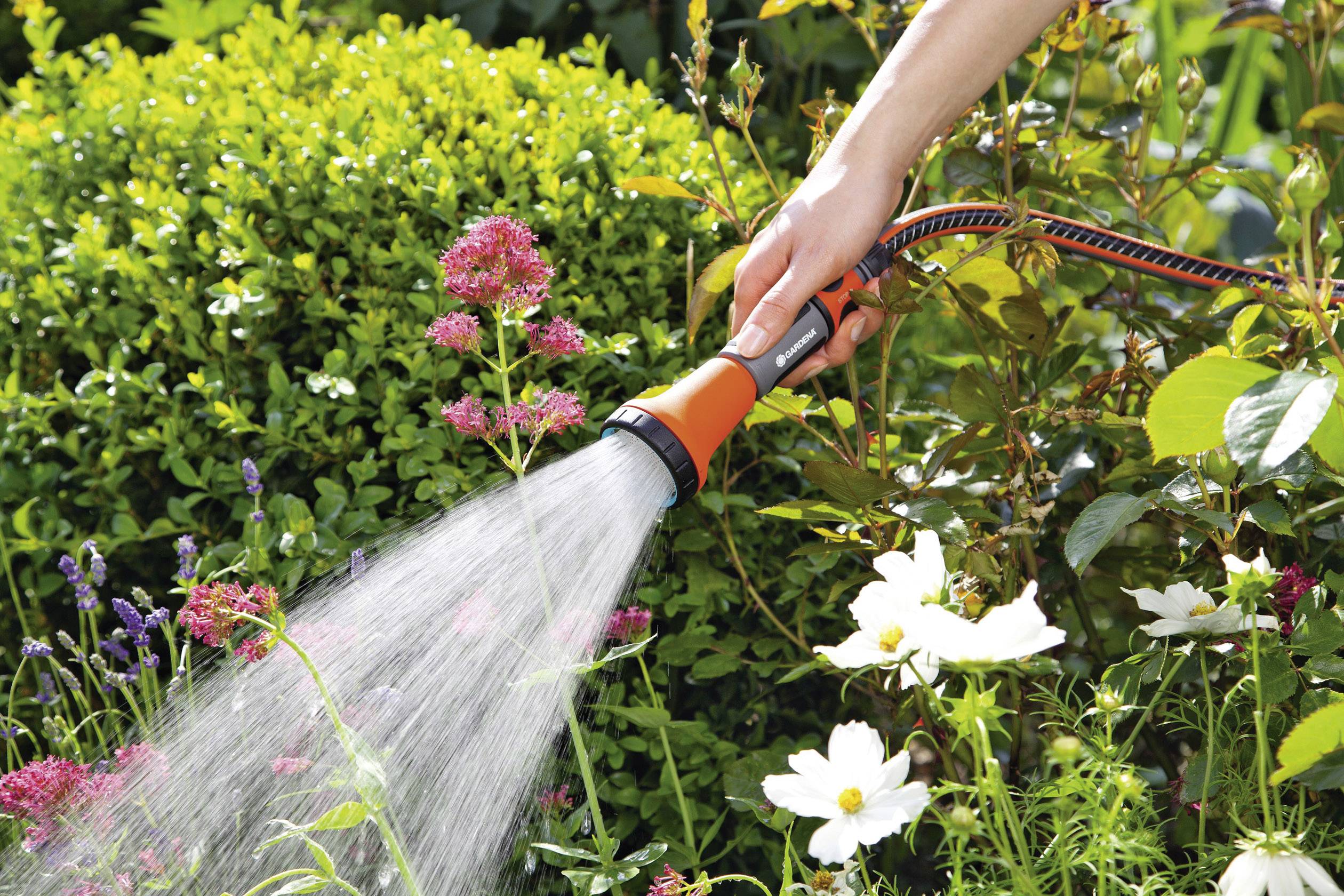 Eine Person gießt mit einem Gartenschlauch Blumen und Pflanzen in einem Garten. Bunte Blüten und grünes Blattwerk im Hintergrund.