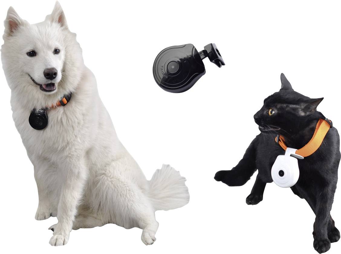 Segula Pet Action-Cam Tierkamera Schwarz  1 St.