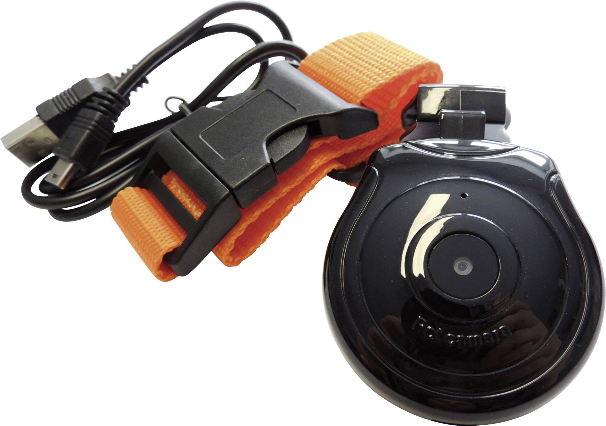 Segula Pet Action-Cam Tierkamera Schwarz  1 St.