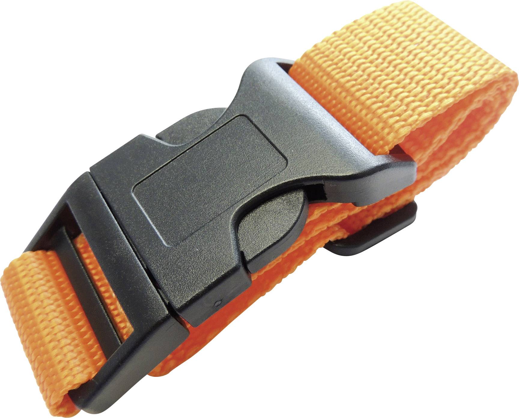 Segula Pet Action-Cam Tierkamera Schwarz  1 St.