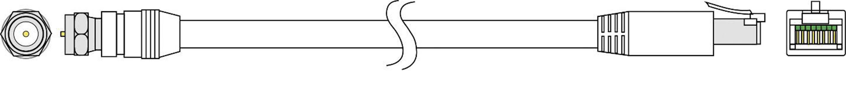 SpeaKa Professional F-Stecker Extender (Verlängerung) über Netzwerkkabel RJ45 30 m