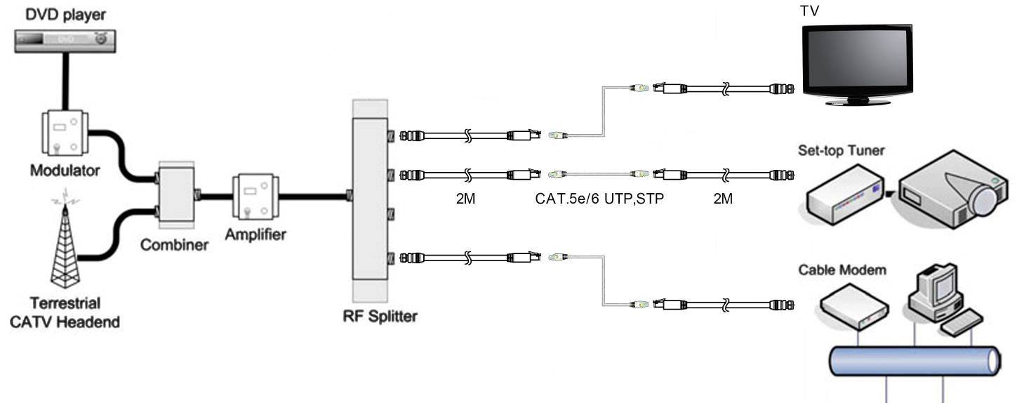 SpeaKa Professional F-Stecker Extender (Verlängerung) über Netzwerkkabel RJ45 30 m