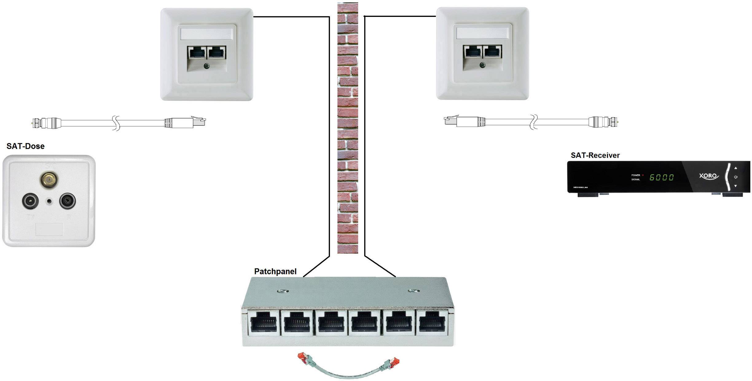 SpeaKa Professional F-Stecker Extender (Verlängerung) über Netzwerkkabel RJ45 30 m