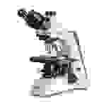 Kern OBN 132 OBN 132 Durchlichtmikroskop Trinokular 1000 x Durchlicht