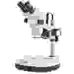 Kern OZM 544 OZM 544 Stereo-Zoom Mikroskop Trinokular 45 x Durchlicht, Auflicht