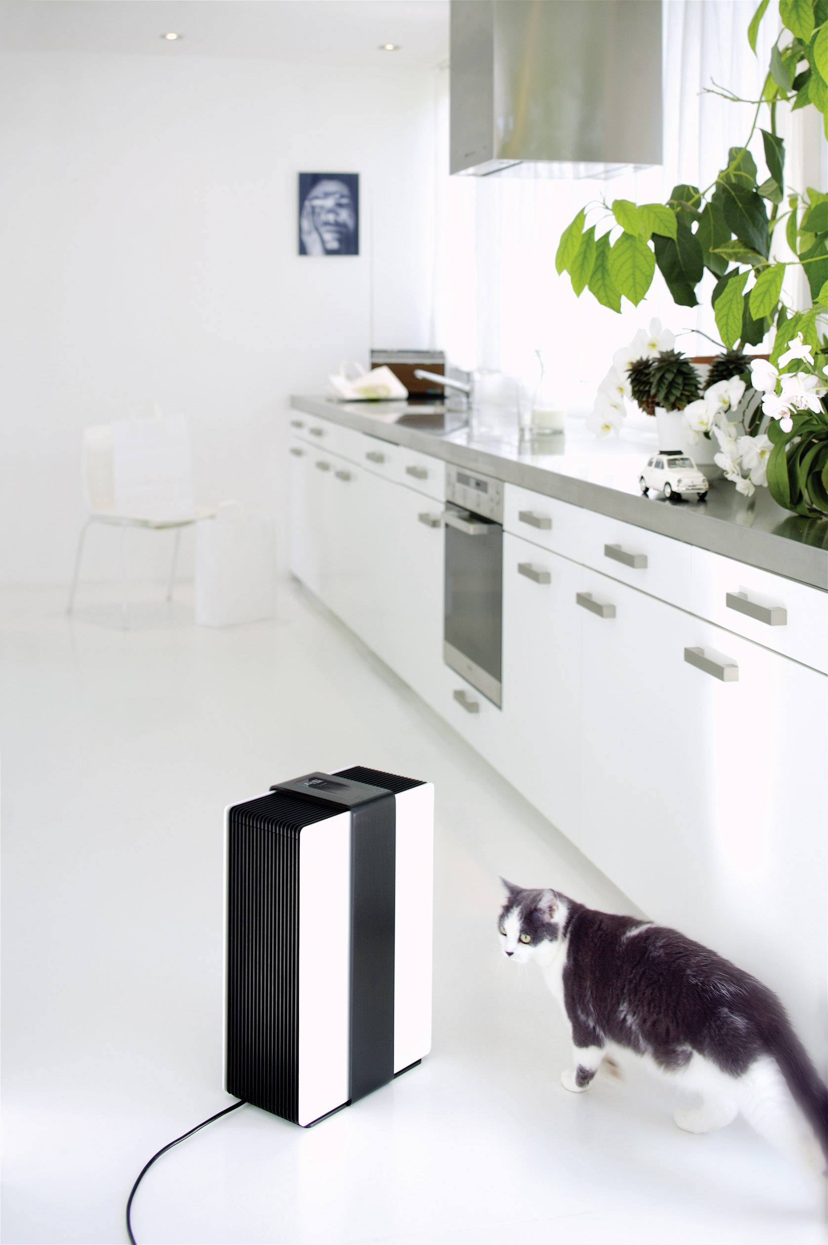 Stadler Form 14867 Robert Luftwäscher 80m² Weiß, Schwarz