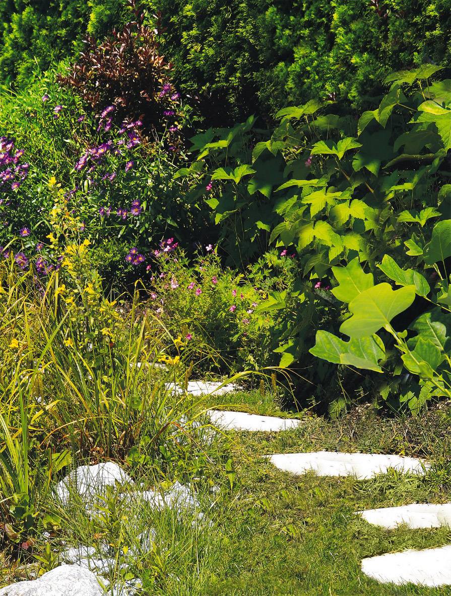 Einhell 3410381 GE-CG 7,2 Li Akku Strauchschere, Grasschere inkl. Akku 7.2 V Li-Ion