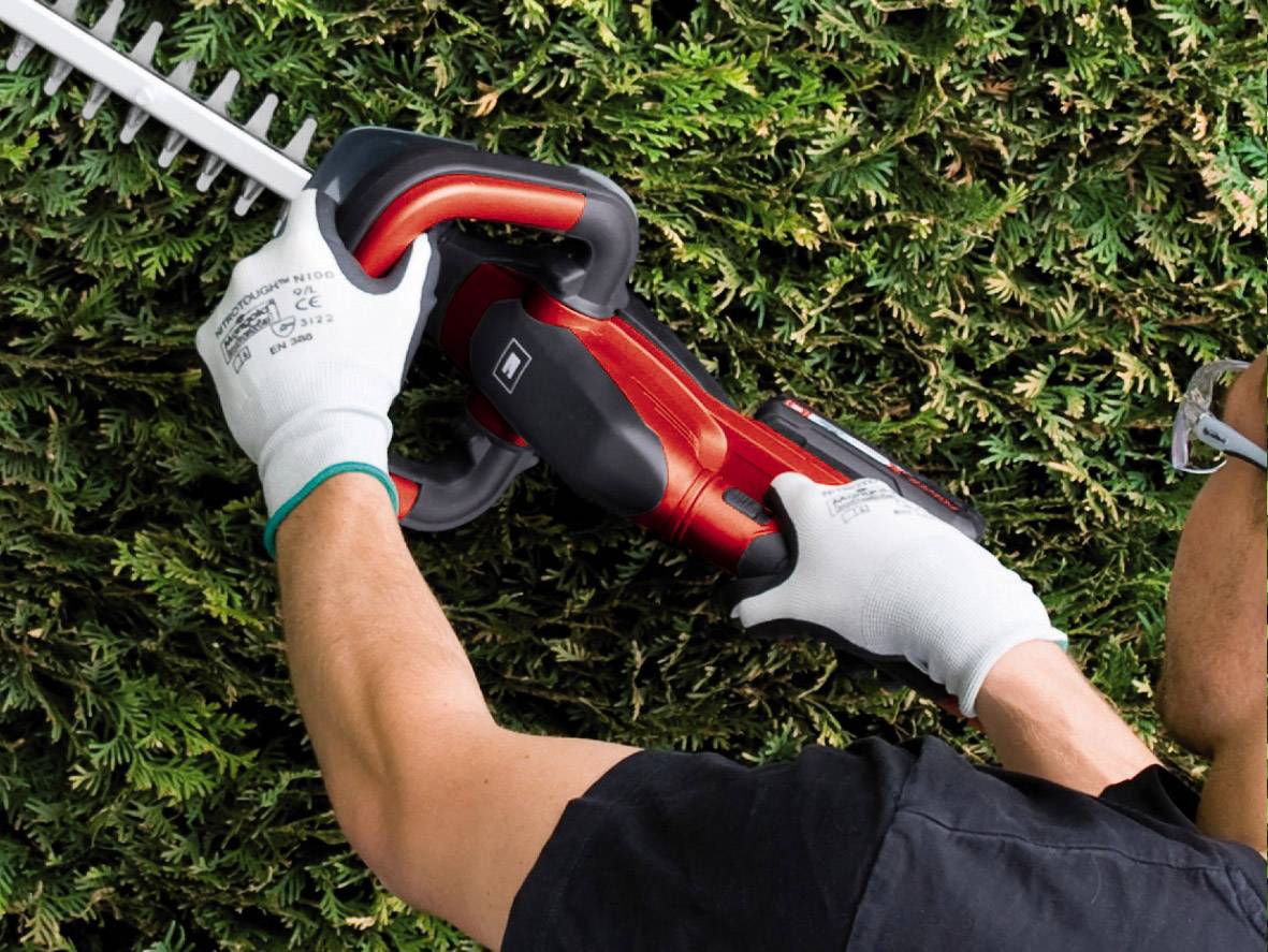 Eine Person in Arbeitshandschuhen schneidet eine Hecke mit einer roten elektrischen Heckenschere.