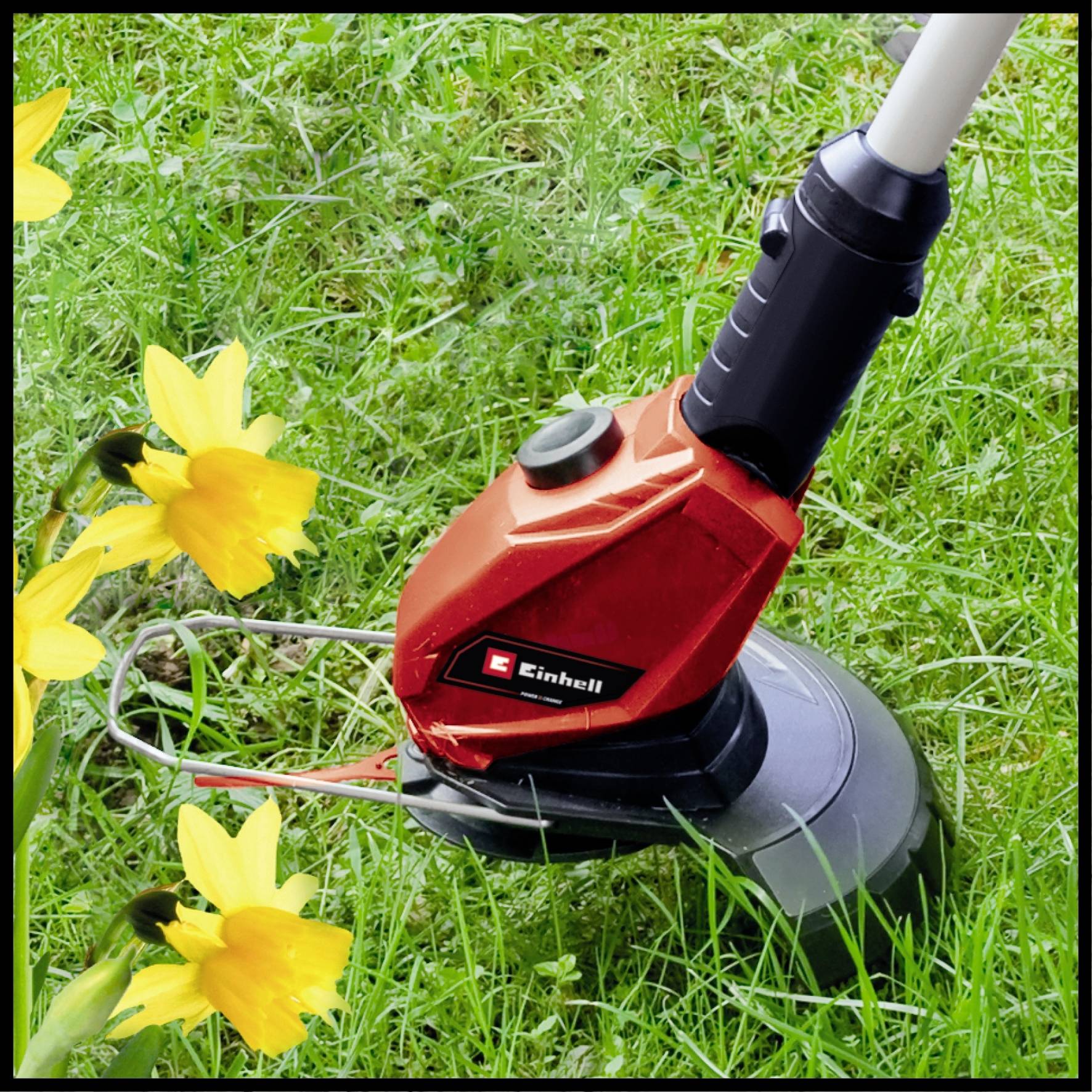 Elektrischer Rasentrimmer schneidet Gras neben gelben Narzissen im Garten. Markenname 'Einhell' auf rotem Gehäuse sichtbar.