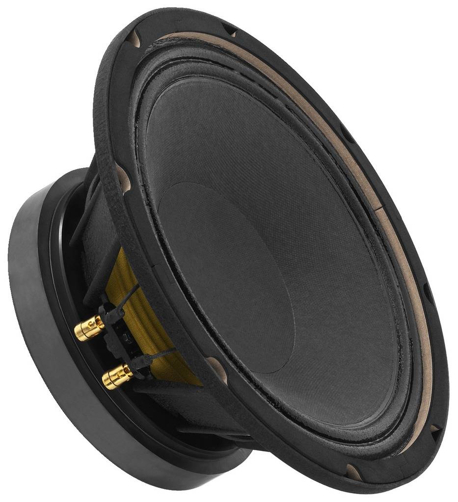 Ein runder Lautsprecher mit schwarzer Membran und goldenen Anschlüssen, vor grauem Hintergrund.