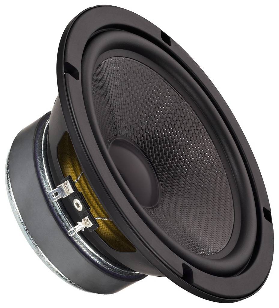 IMG STAGELINE SP-6/108PRO 6.5 Zoll 16.51cm Tieftöner 100W 8Ω