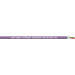 LAPP 3031981-100 Busleitung UNITRONIC® BUS 1 x 2 x 0.32mm² Violett 100m