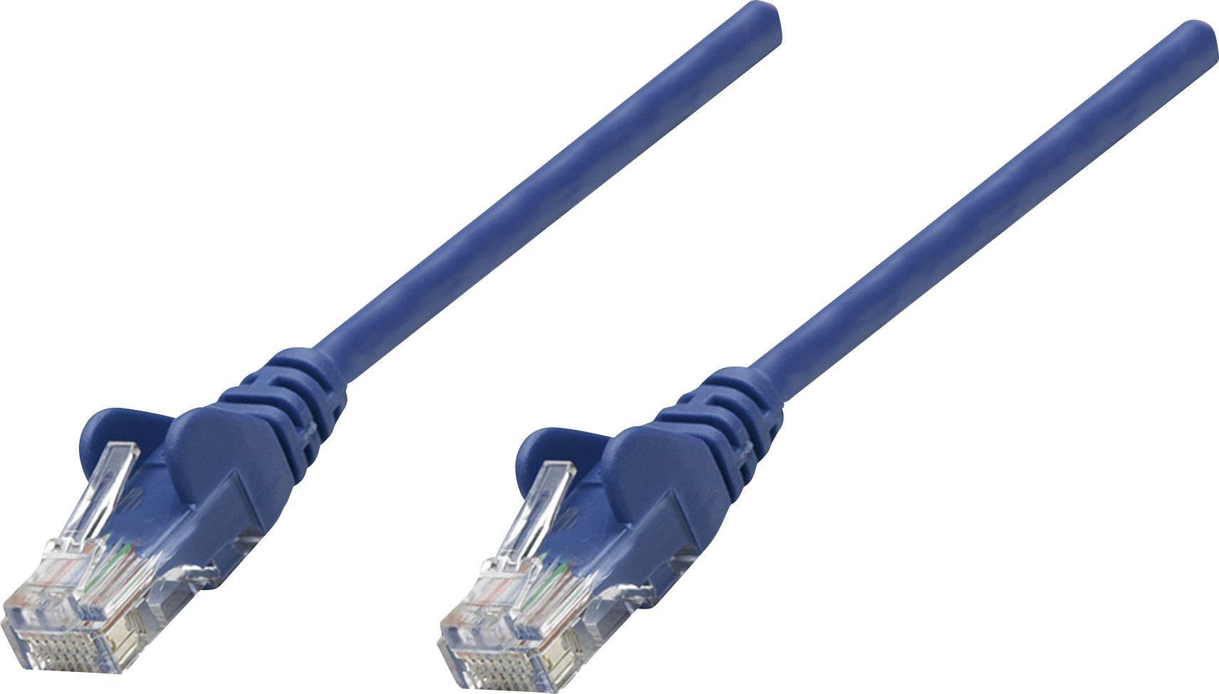 Zwei blaue Ethernet-Kabel mit RJ45-Steckern.