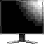 EIZO S2133-BK LCD-Monitor 54.1cm (21.3 Zoll) EEK E (A - G) 1600 x 1200 Pixel UXGA 6 ms DVI, VGA, DisplayPort, USB IPS LCD