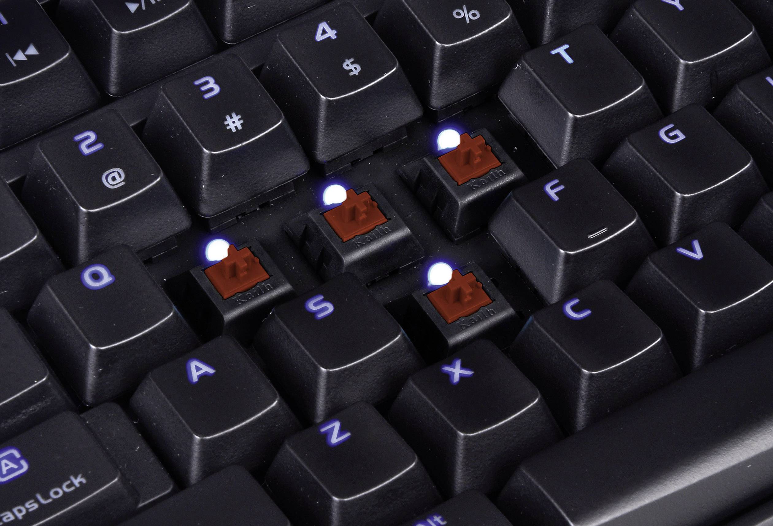 TT eSports Poseidon Z Illuminated USB-Gaming-Tastatur Switch: Brown, Beleuchtet Deutsch, QWERTZ, Windows® Schwarz/Blau