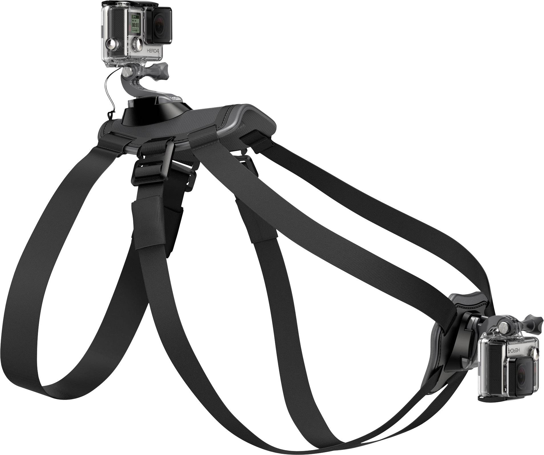 GoPro Fetch Hundegeschirr GoPro
