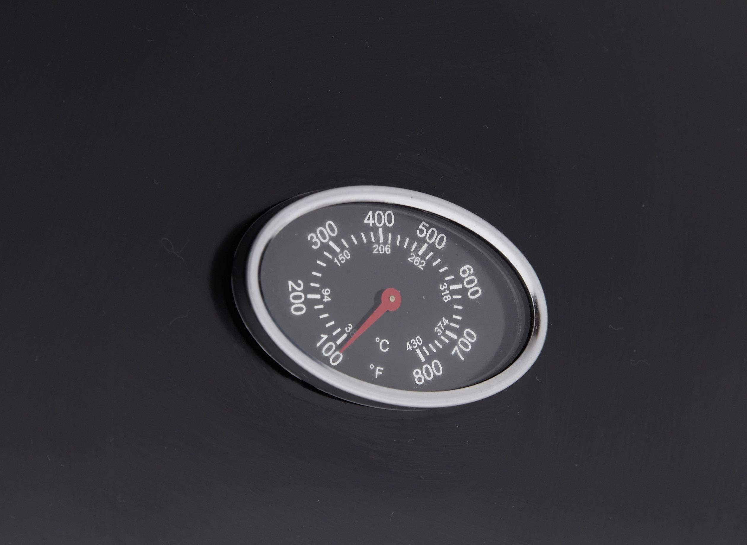 Tepro Garten Princeton Gas Grill 2 Brenner, Thermometer im Deckel Schwarz, Silber