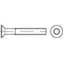 TOOLCRAFT 1066301 Senkschrauben M5 10mm T-Profil DIN 965 Edelstahl A4 500St.