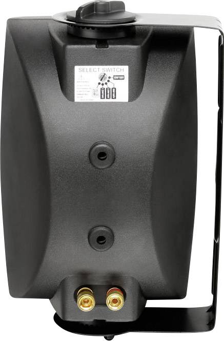 LD Systems LDCWMS42B100V ELA-Lautsprecherbox 20W Schwarz 1 Paar