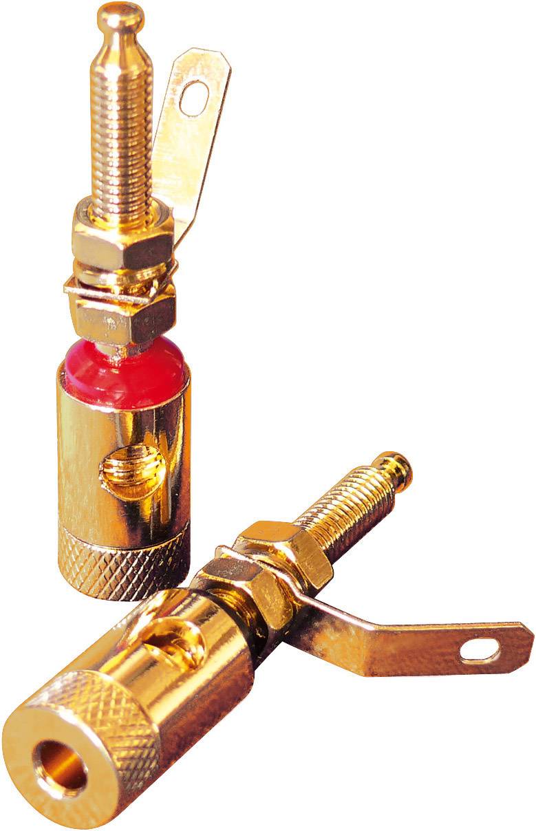 Dynavox Bananen-Buchsen 205096 4 St.