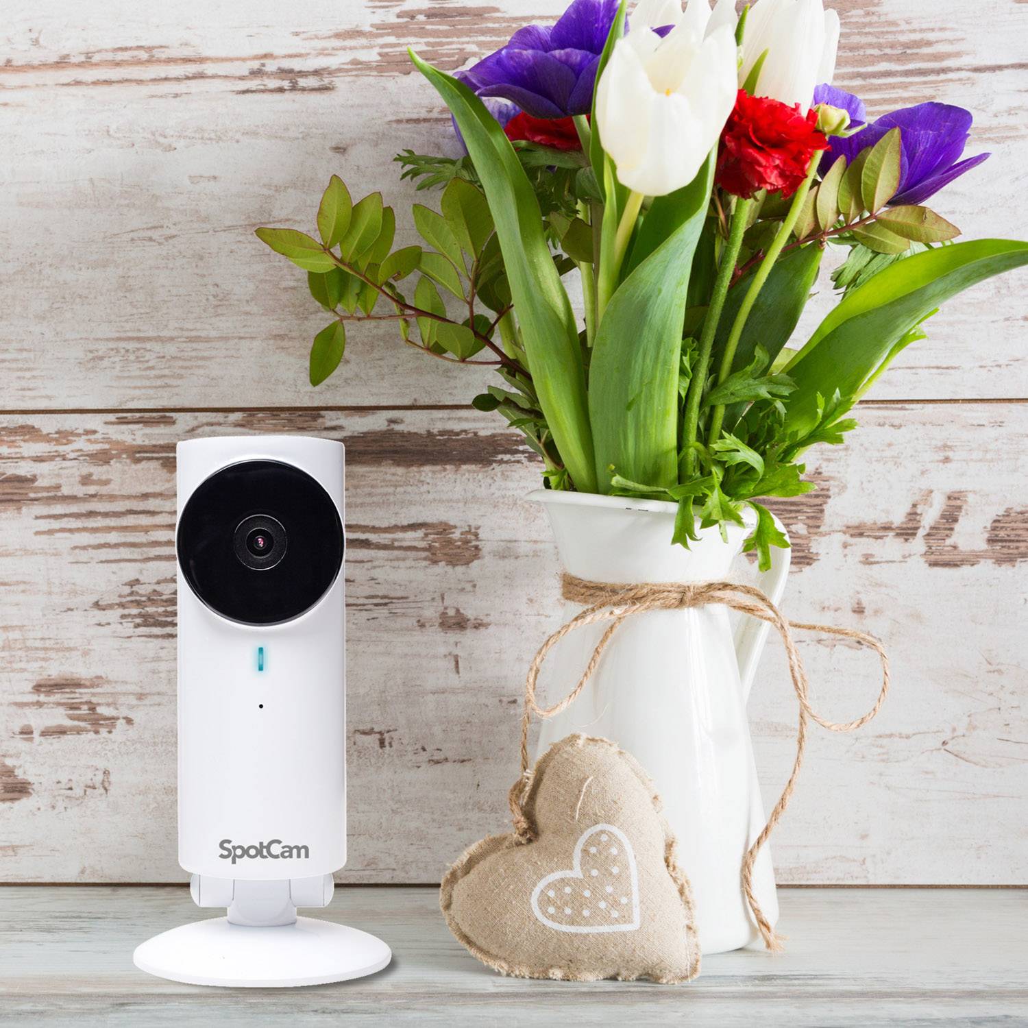 HD-A Blaupunkt IP-Kamera