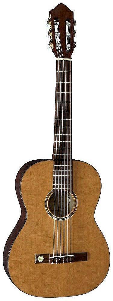 Pro Natura Bronze Teleri Konzertgitarre