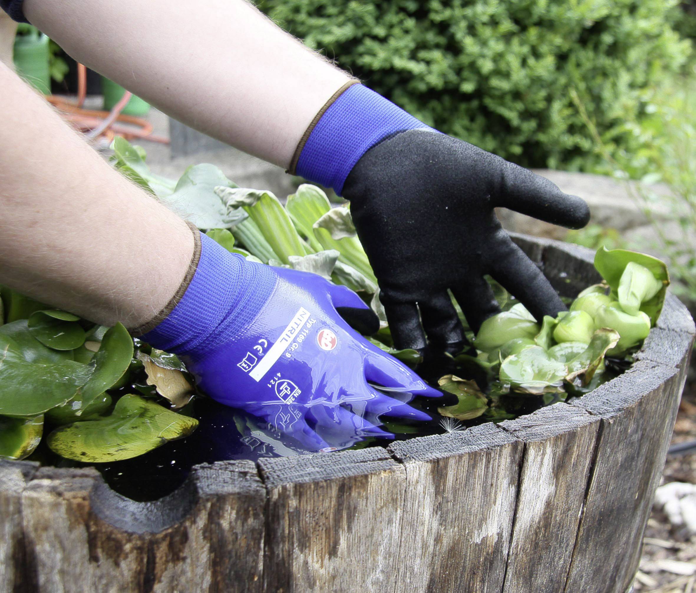 Person mit blauen Handschuhen pflanzt Wasserpflanzen in einen holzigen Wassertrog im Garten.