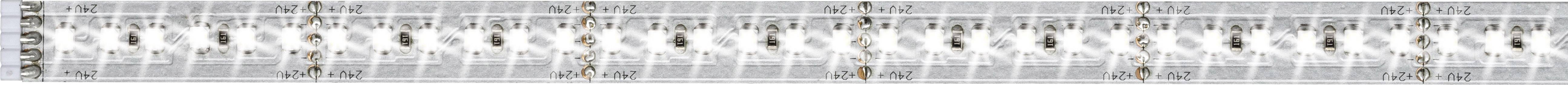Paulmann MaxLED 1000 70572 LED-Streifen-Erweiterung  mit Stecker 24 V 0.5 m Tageslichtweiß