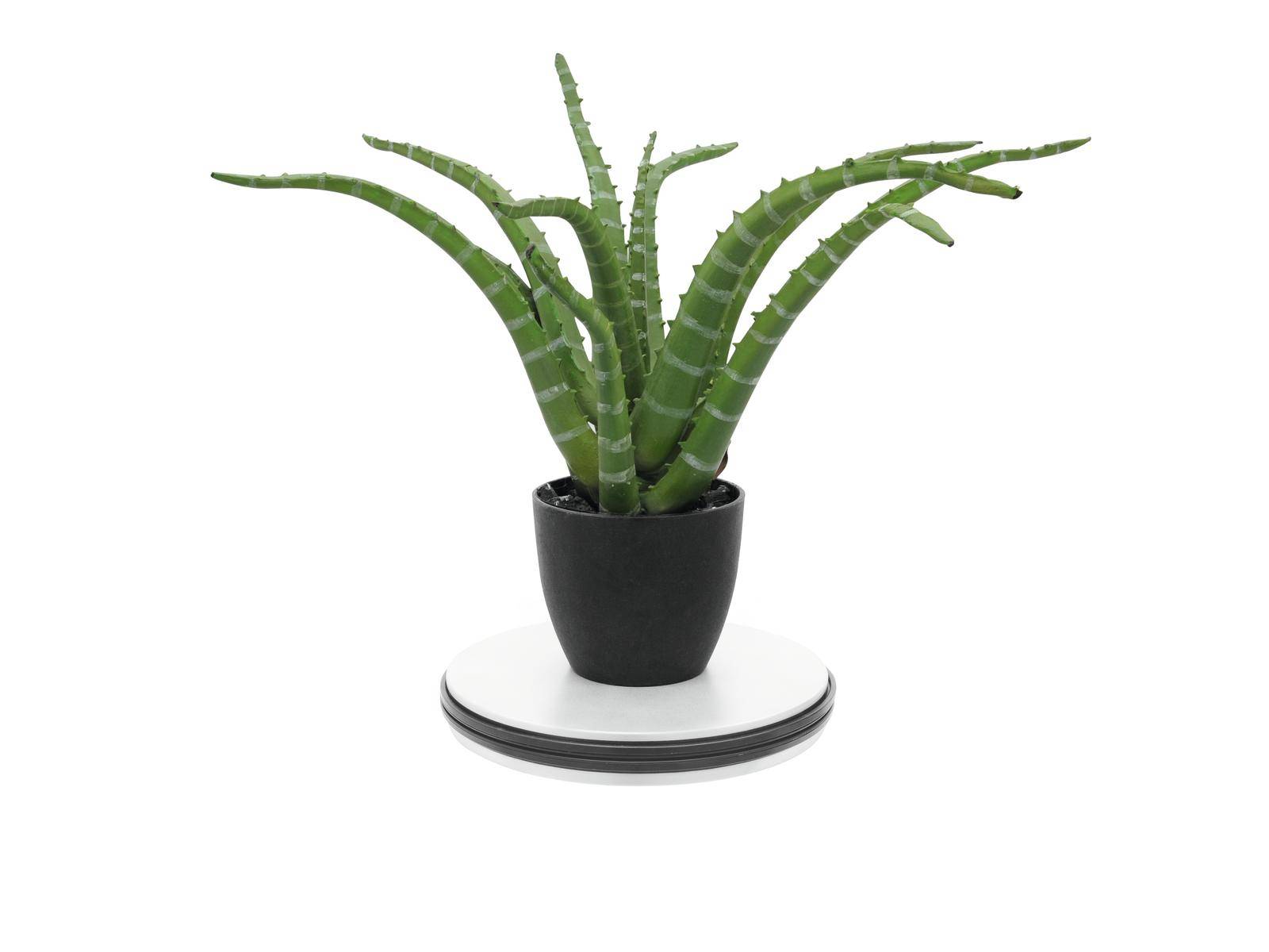 Europalms 50701195 Drehteller