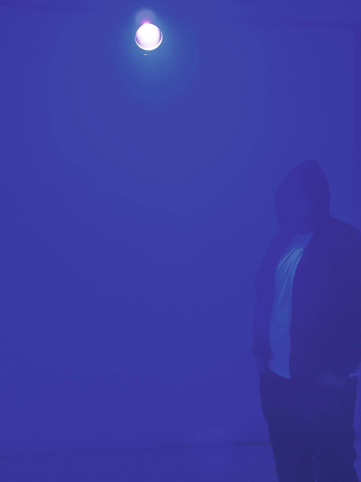 Eurolite ML-56 COB UV UV-Strahler LED 80W Schwarz