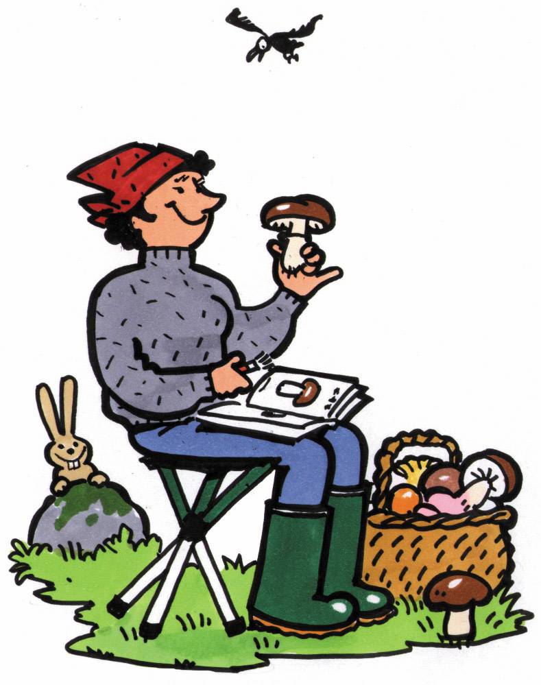 Walkstool Comfort XXXL Klapphocker Schwarz, Silber 63549 Belastbarkeit (Gewicht) (max.) 250kg