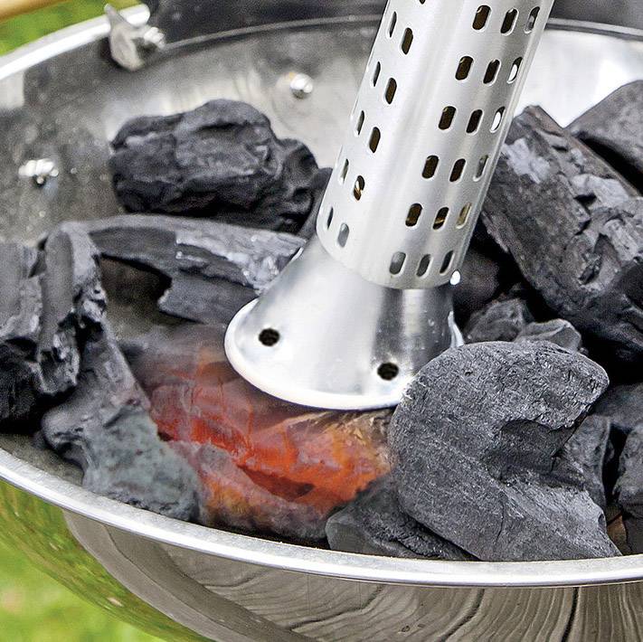 Gloria Haus und Garten 000173.0000 Thermoflamm bio Electro Abflammgerät