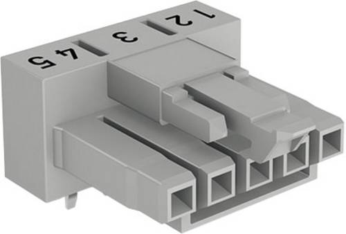 WAGO 890-865/011-000 Netz-Steckverbinder WINSTA MINI Buchse, Einbau horizontal Gesamtpolzahl: 5 16