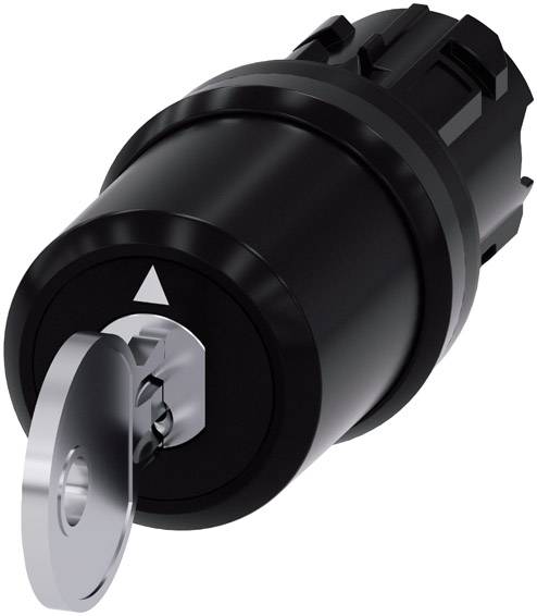 Schwarzes Schlüsselschloss, horizontal positioniert. Ein metallener Schlüssel steckt im Schloss, bereit zur Drehung.