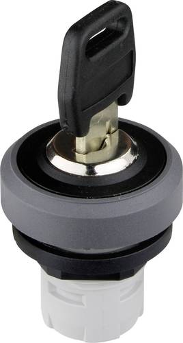 OKTRON R RKSSA25 Schlüsselschalter Anthrazit 1St.