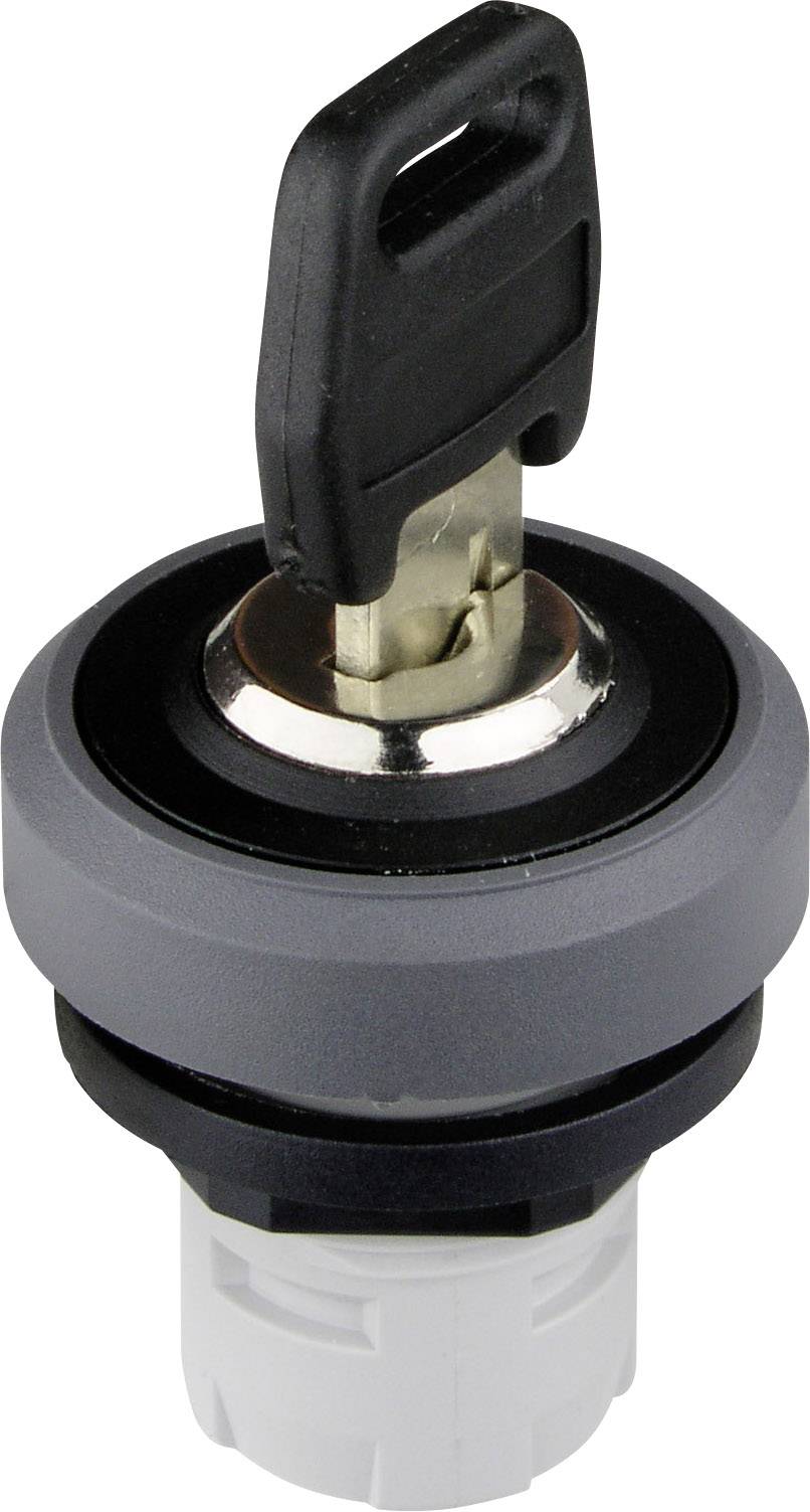 Schlegel RKSSA25 OKTRON R RKSSA25 Schlüsselschalter Anthrazit 1 St.