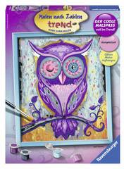 Ravensburger Malen nach Zahlen - Träumende Eule 24 x 30 cm