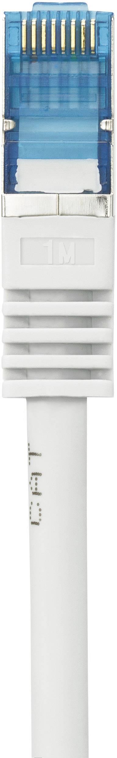 Ein Ethernet-Kabel mit einem blauen RJ45-Stecker, geeignet für kabelgebundene Netzwerkverbindungen.