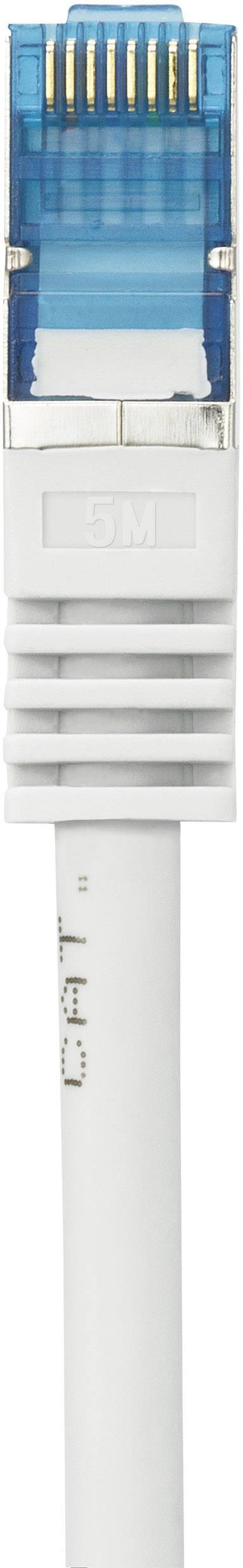 Ein blau-weißer Ethernet-Stecker mit acht goldfarbenen Kontakten ist an einem weißen Kabel befestigt.