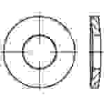 TOOLCRAFT Spannscheiben 12mm 29mm Federstahl phosphatiert 100 St. 138286